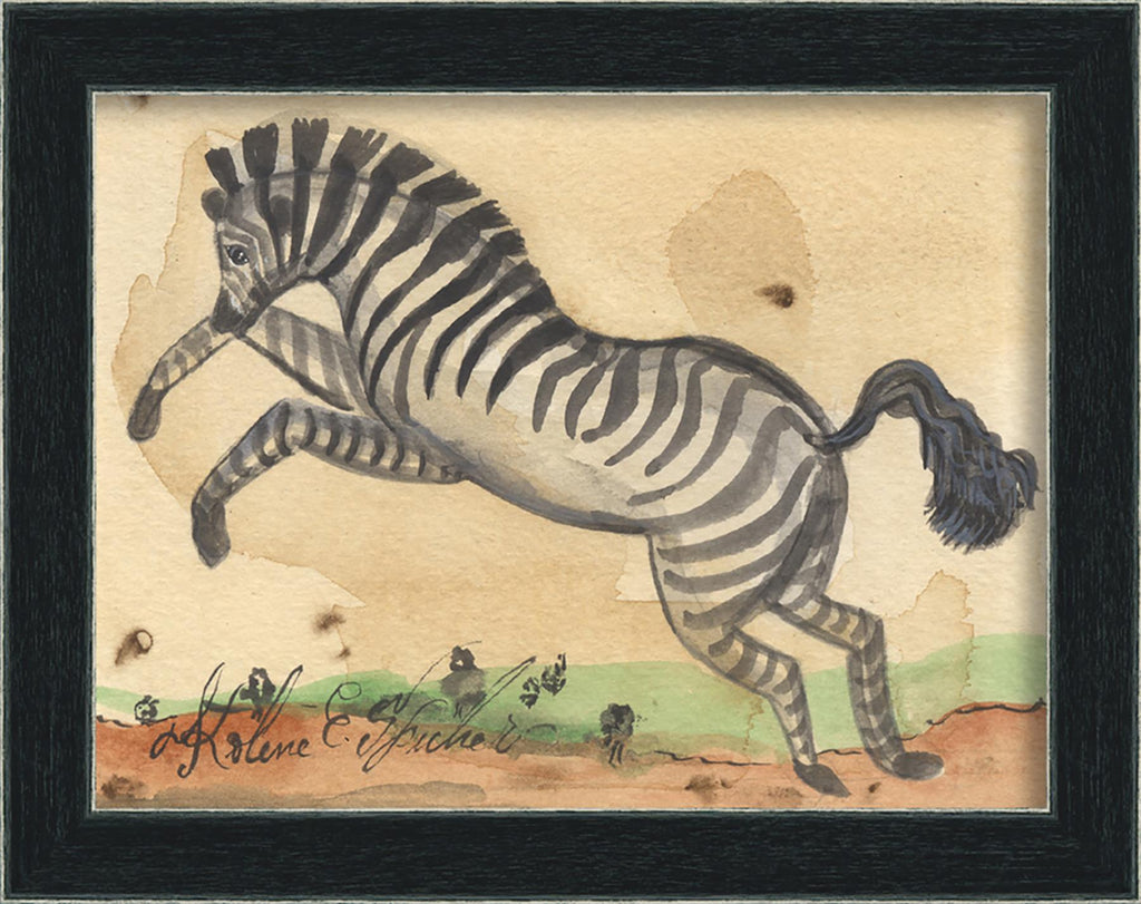 Spicher & Company AN Zebra 68124