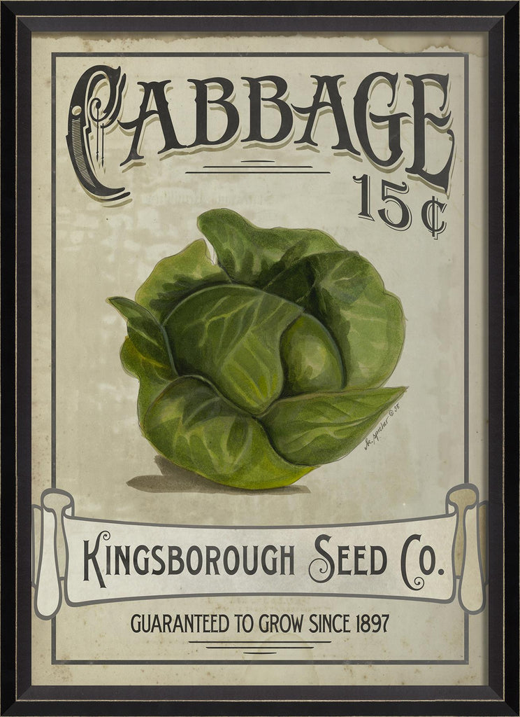 Spicher & Company BC Cabbage Seeds 68271