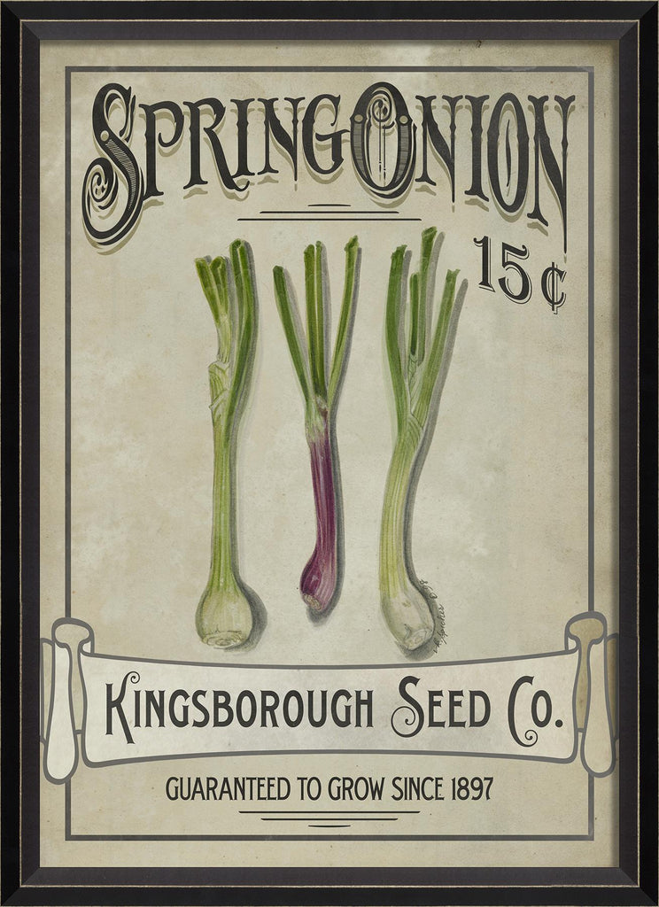 Spicher & Company BC Spring Onion Seeds 68275