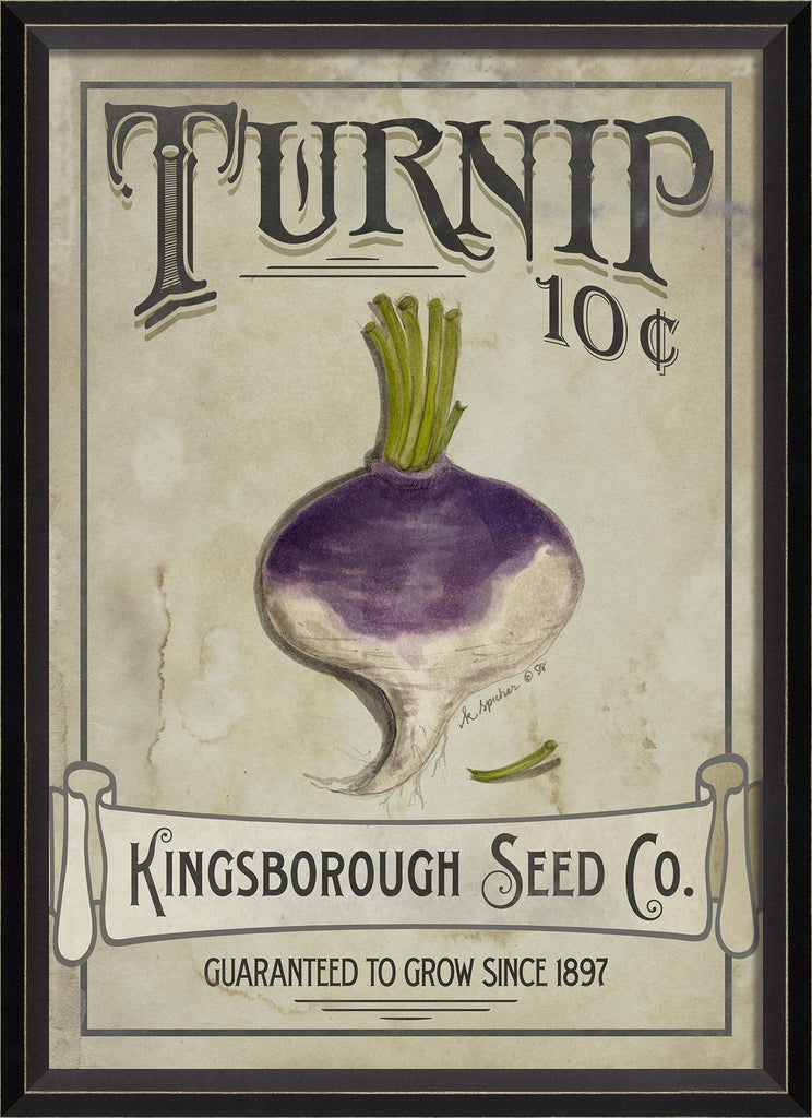 Spicher & Company BC Turnip Seeds 68277