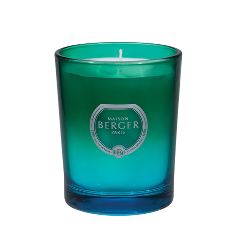 Lampe Berger Dare Green-Blue Ombre Scented Candle Zest of Verbena