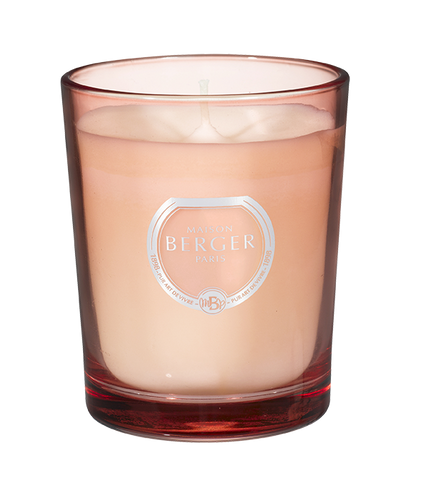 Lampe Berger Riviera Scented Candle Tonic Lemon