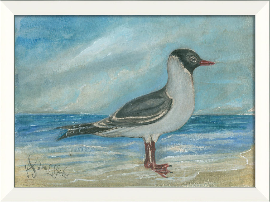 Spicher & Company LN Seabird 2 77399