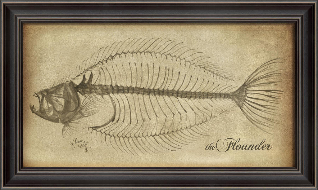 Spicher & Company LS Flounder Skeleton on White 80008