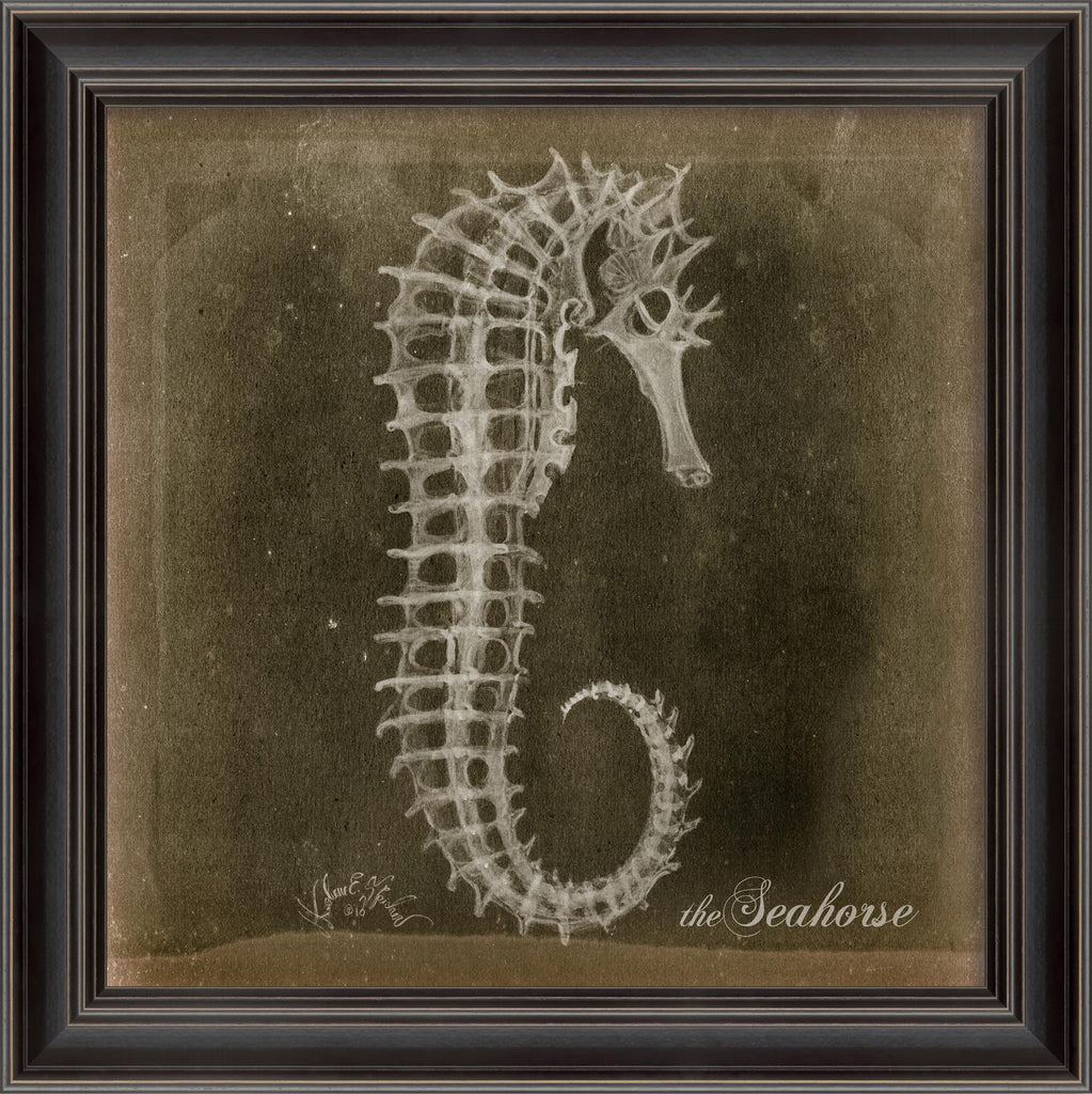 Spicher & Company LS Seahorse Skeleton on Black 80017