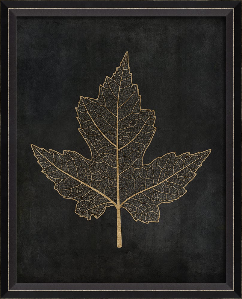 Spicher & Company BC Maple Leaf No1 gold on black sm 82754