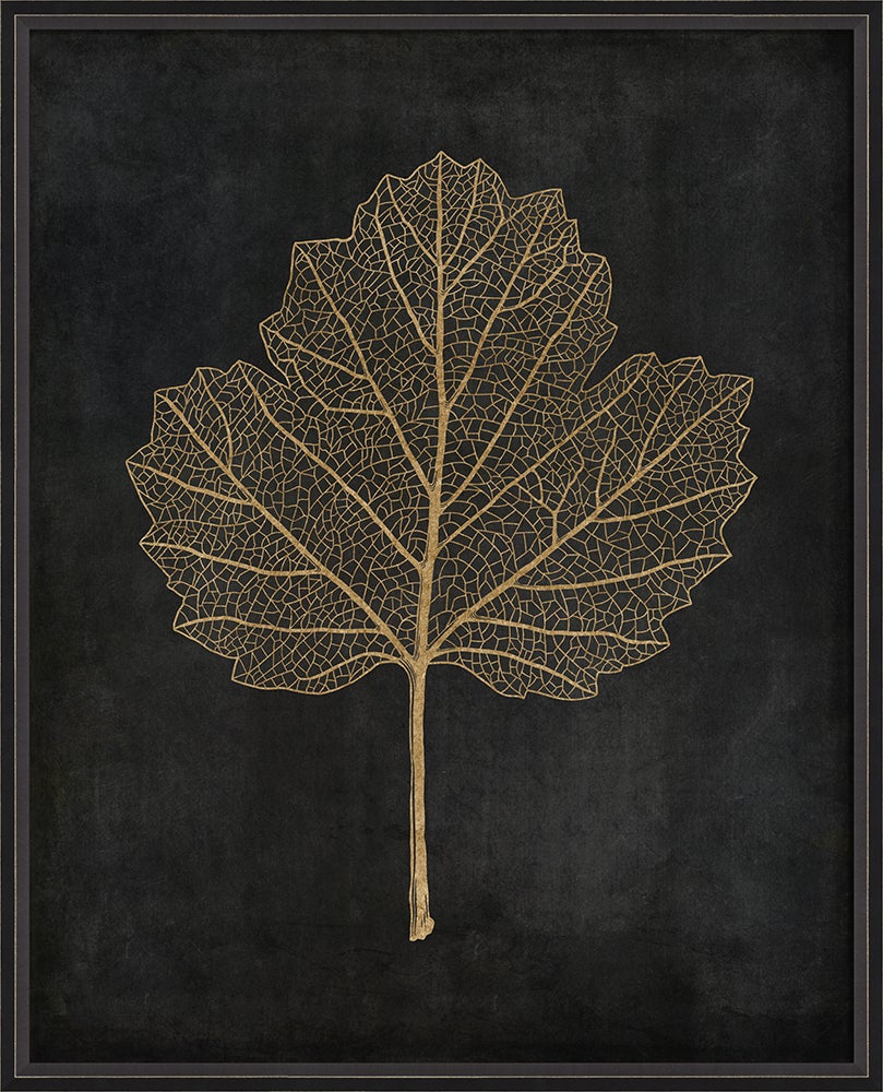 Spicher & Company BC Viburnum Opulus gold on black lg 82778