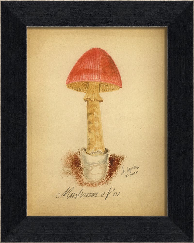 Spicher & Company BC Mushroom 1 86341