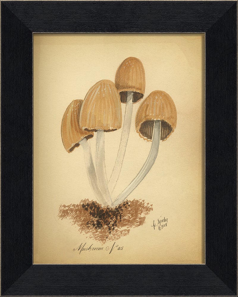 Spicher & Company BC Mushroom 5 86345