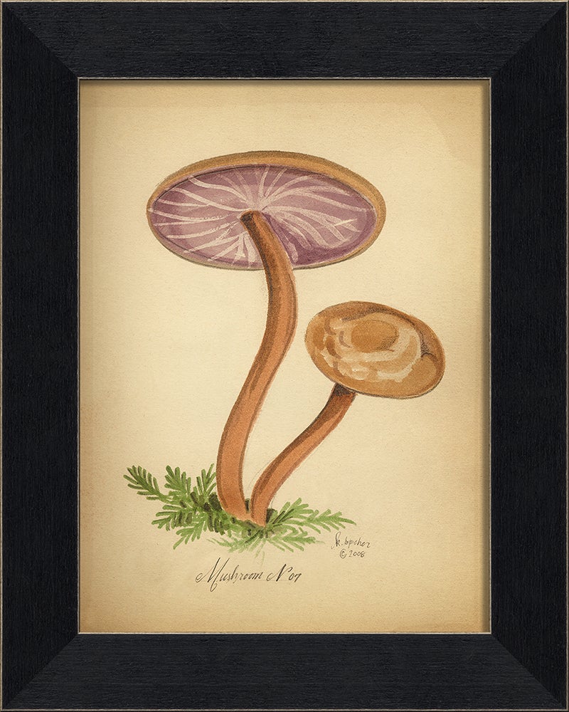 Spicher & Company BC Mushroom 7 86347