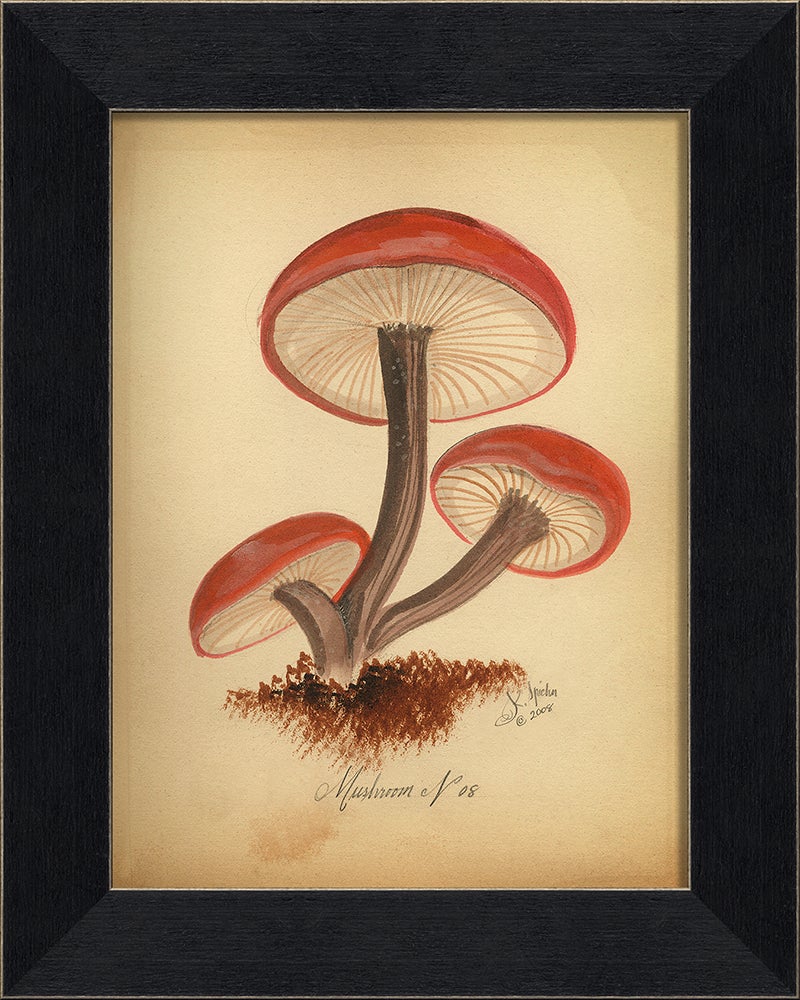 Spicher & Company BC Mushroom 8 86348