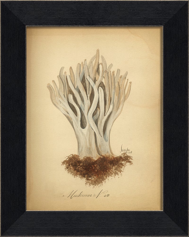 Spicher & Company BC Mushroom 9 86349