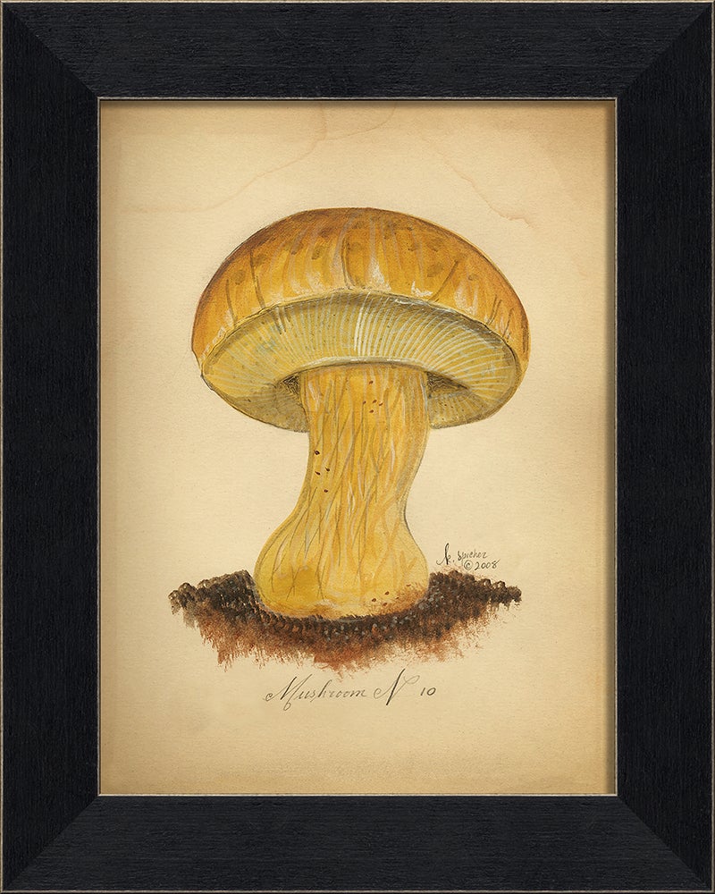 Spicher & Company BC Mushroom 10 86350