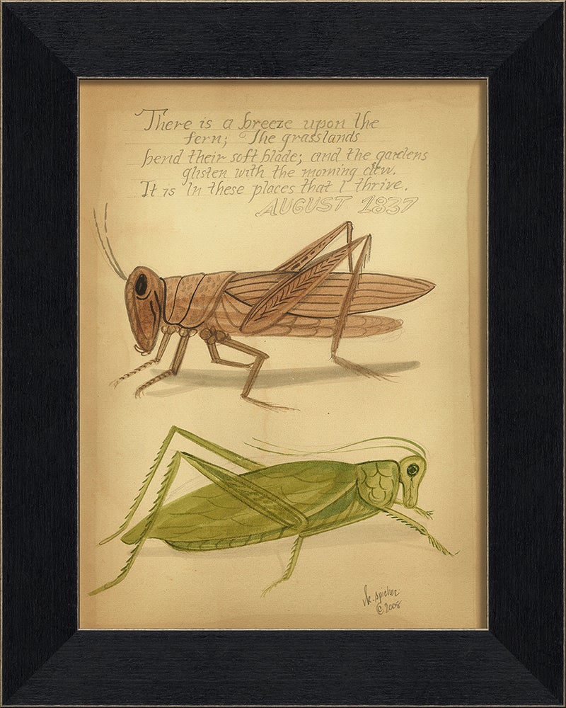 Spicher & Company MI Grasshoppers 1837 86357