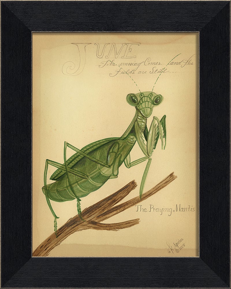 Spicher & Company MI Praying Mantis 86364