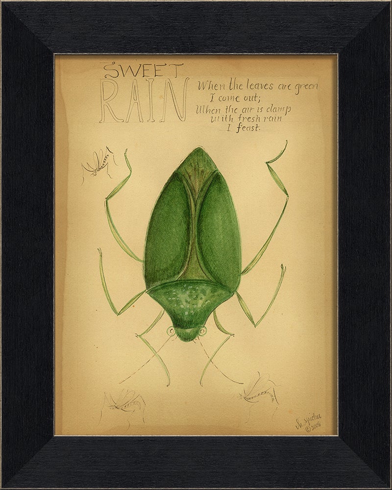 Spicher & Company MI Sweet Rain 86365