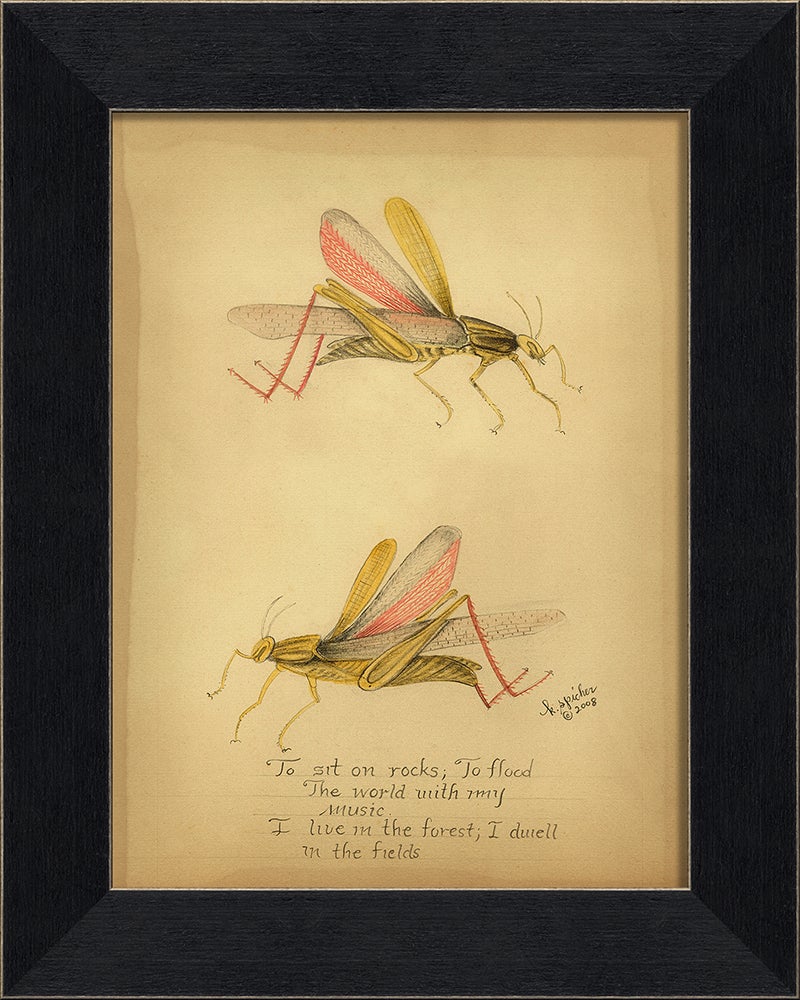 Spicher & Company MI To Sit on Rocks 86367