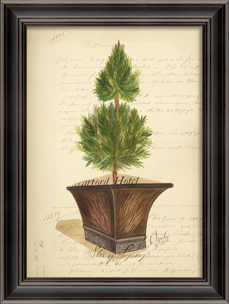 Spicher & Company LS Topiary 1 86380