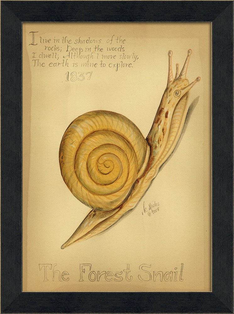 Spicher & Company MI The Forest Snail 86425