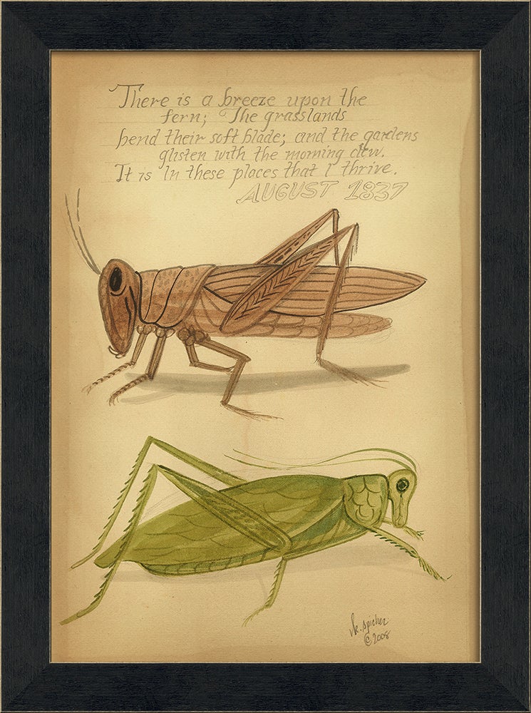 Spicher & Company MI Grasshoppers 1837 86426