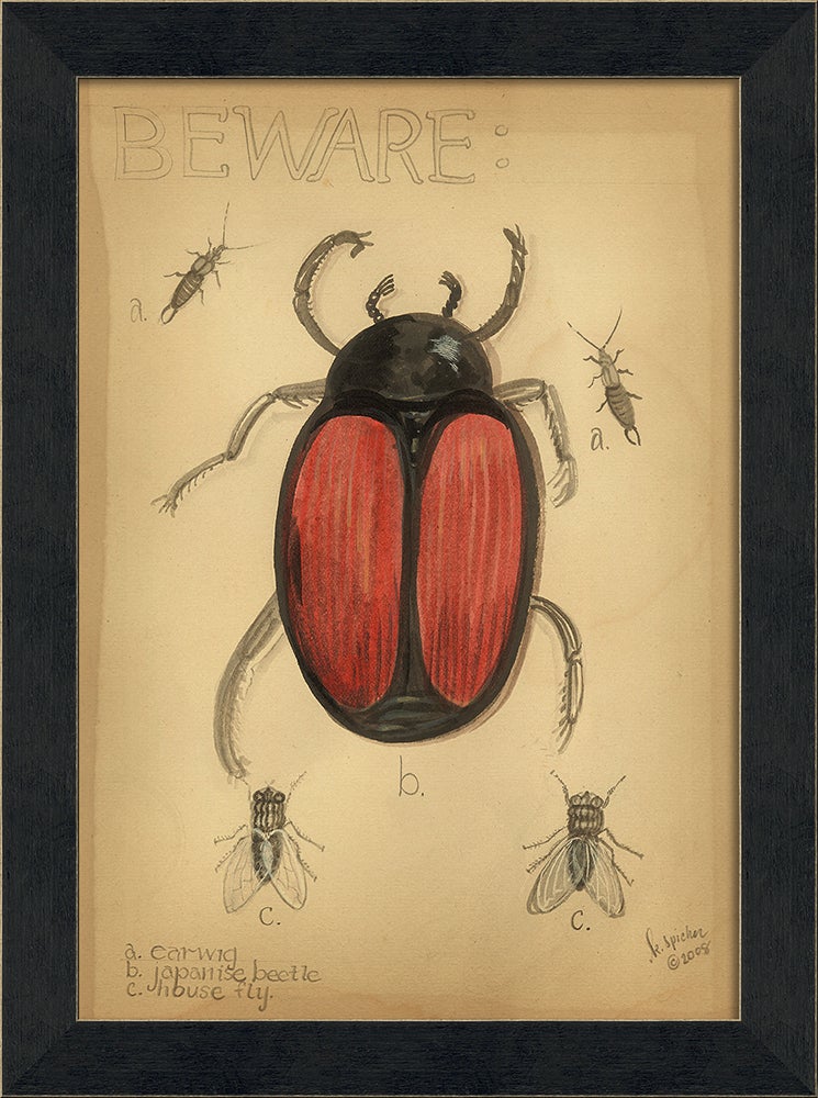 Spicher & Company MI Japanese Beetle 86427