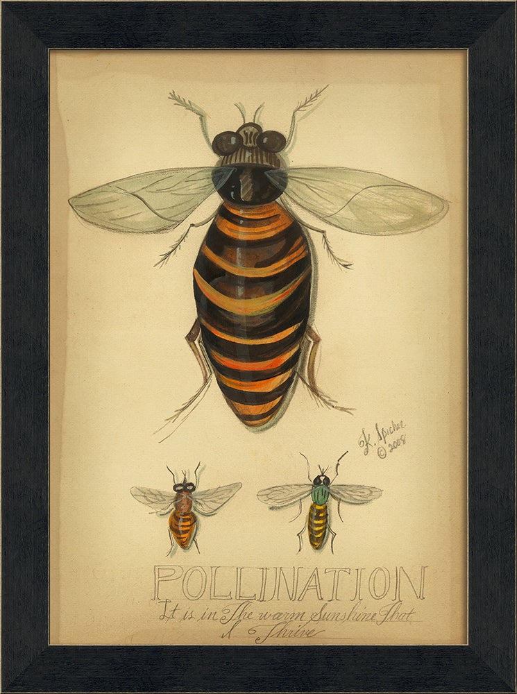 Spicher & Company MI Pollination 86428