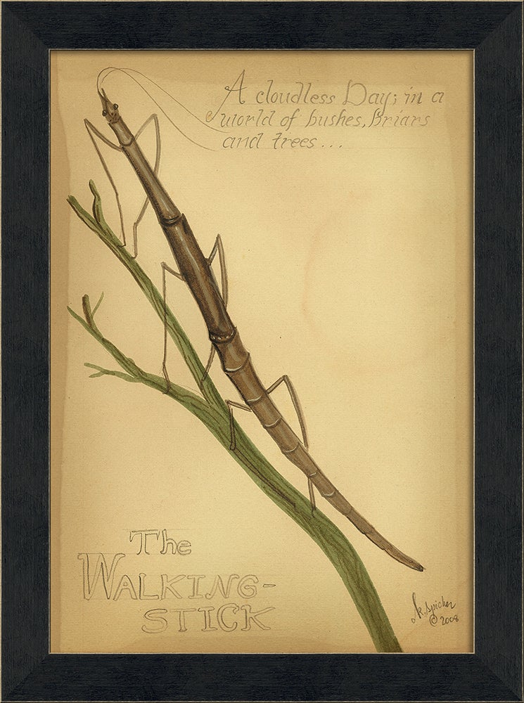 Spicher & Company MI The Walking Stick 86431