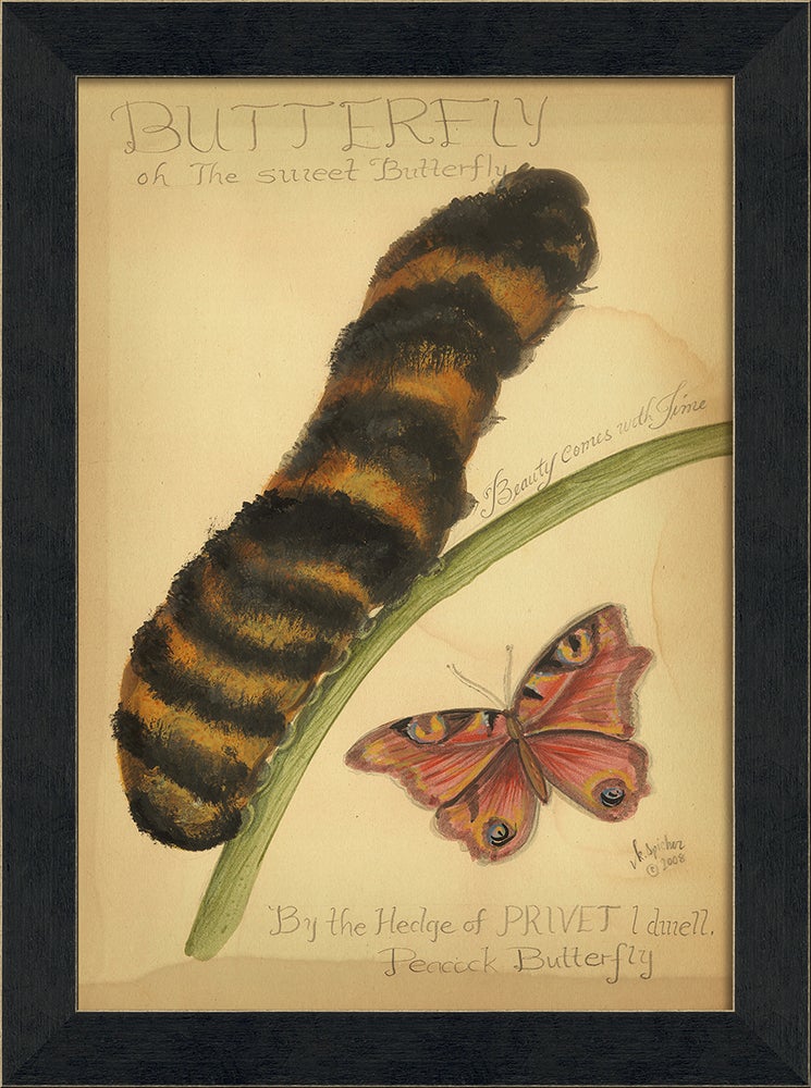 Spicher & Company MI Peacock Butterfly 86434