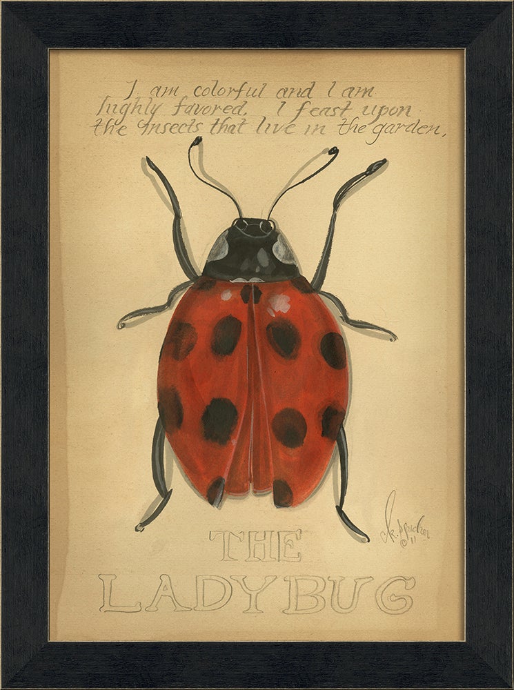 Spicher & Company MI Lady Bug 86437
