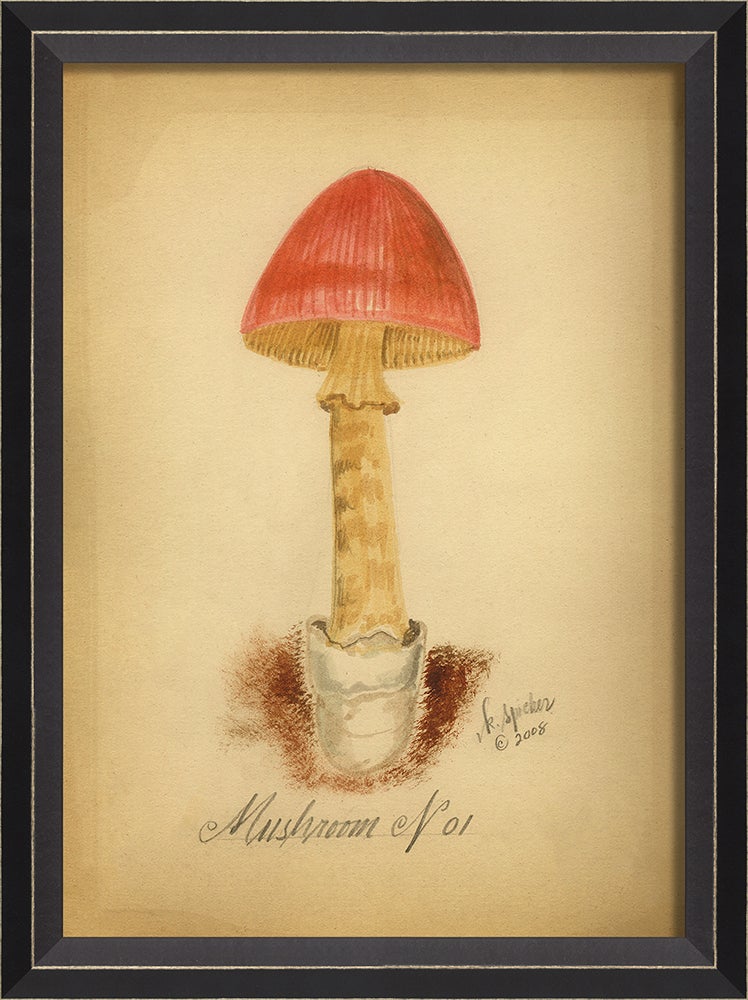 Spicher & Company BC Mushroom 1 med 86438