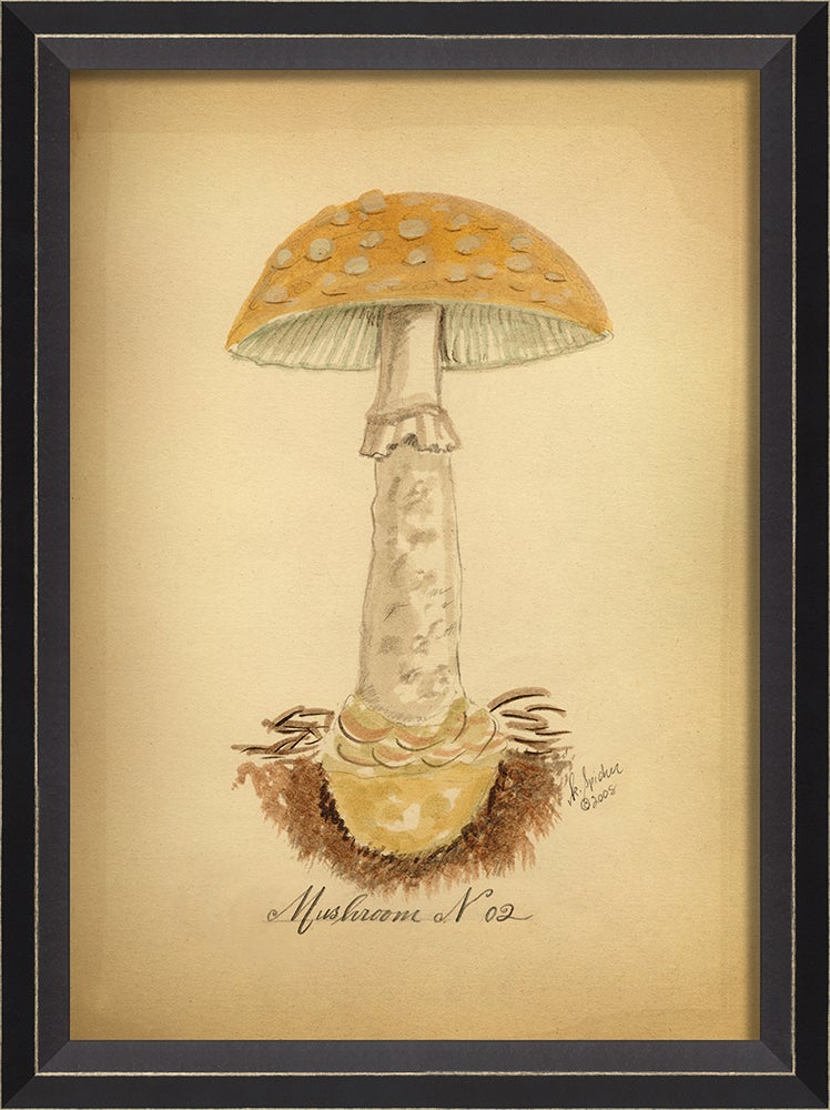 Spicher & Company BC Mushroom 2 med 86439