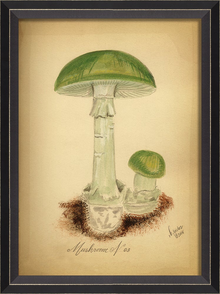 Spicher & Company BC Mushroom 3 med 86440