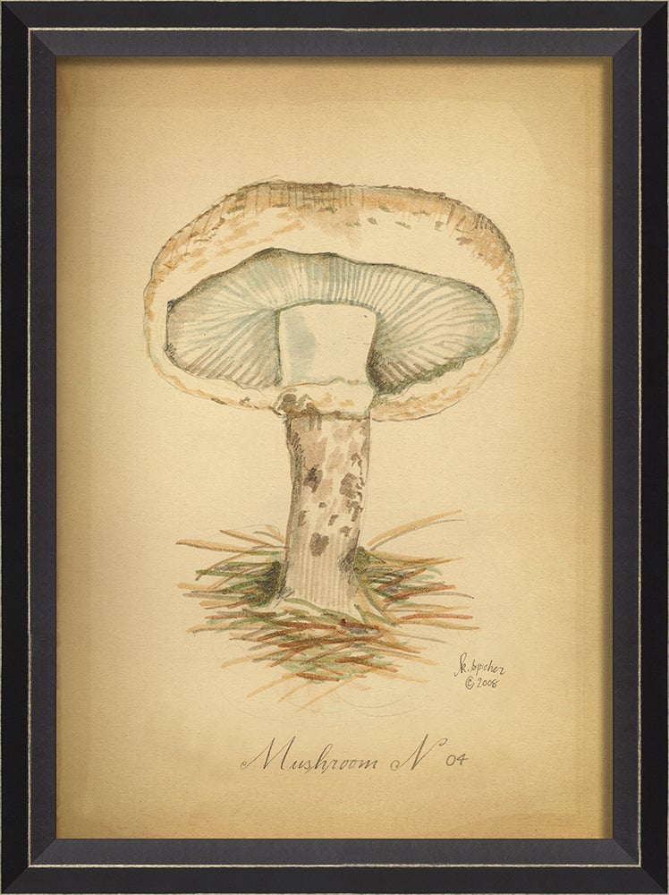 Spicher & Company BC Mushroom 4 med 86441