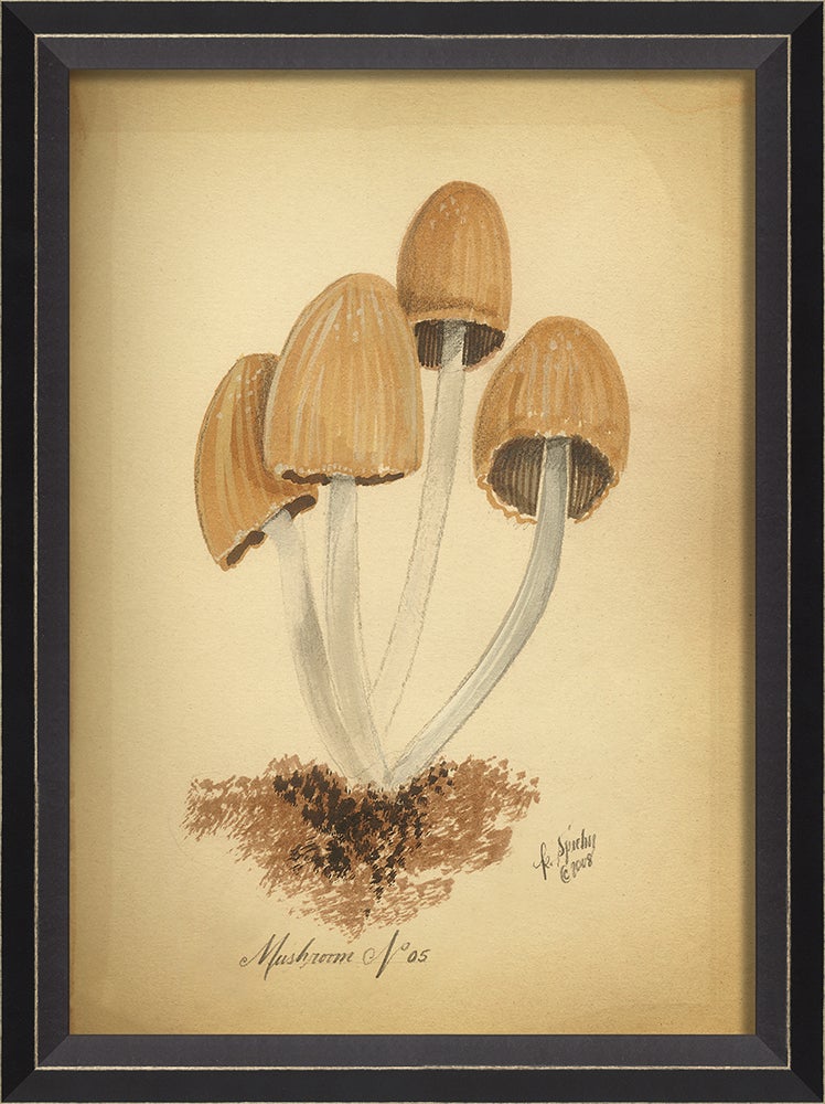 Spicher & Company BC Mushroom 5 med 86442