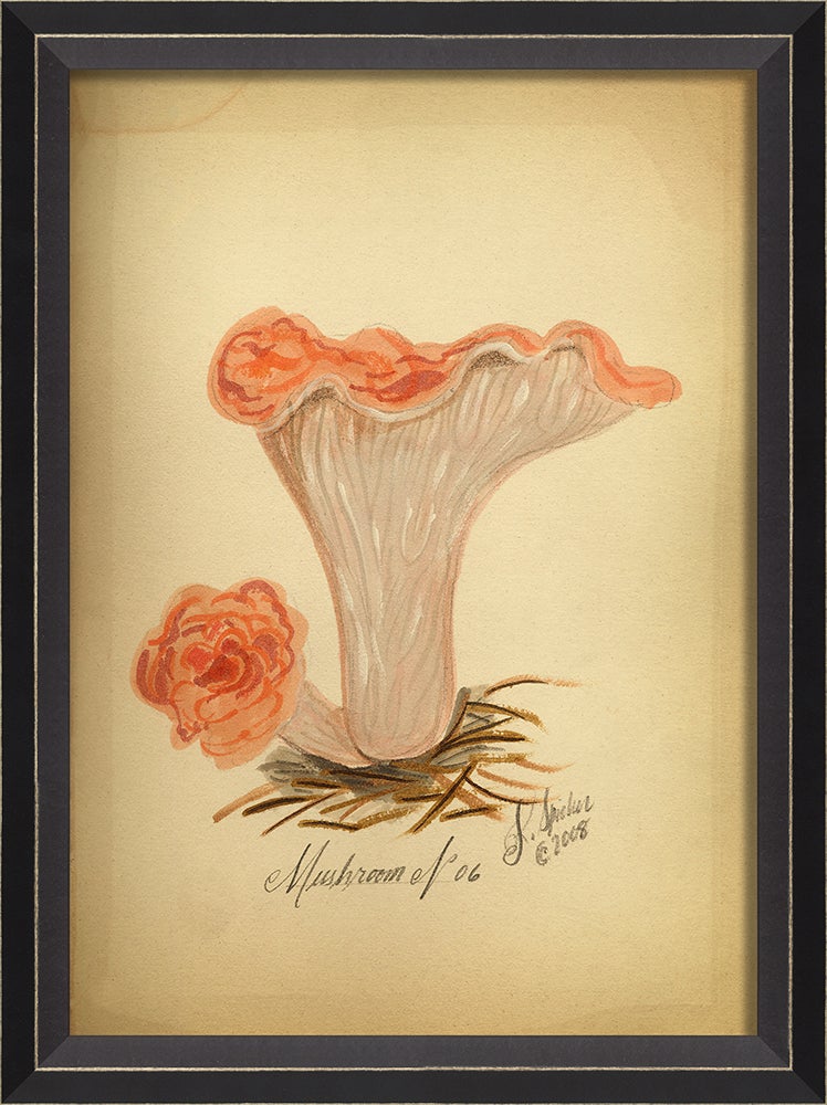 Spicher & Company BC Mushroom 6 med 86443