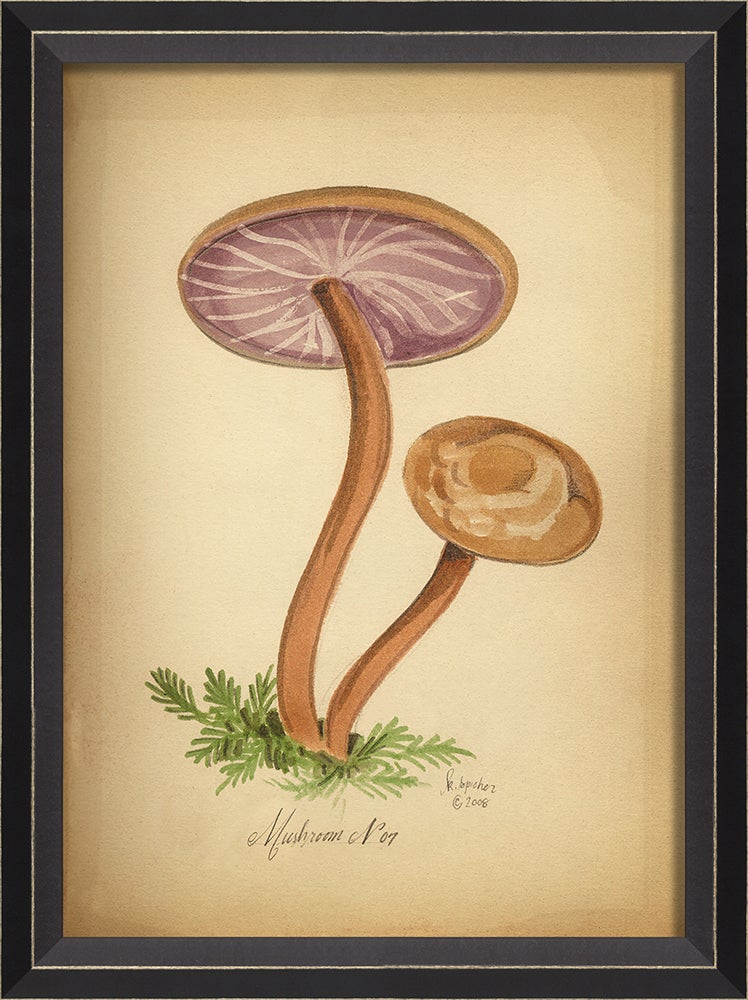 Spicher & Company BC Mushroom 7 med 86444