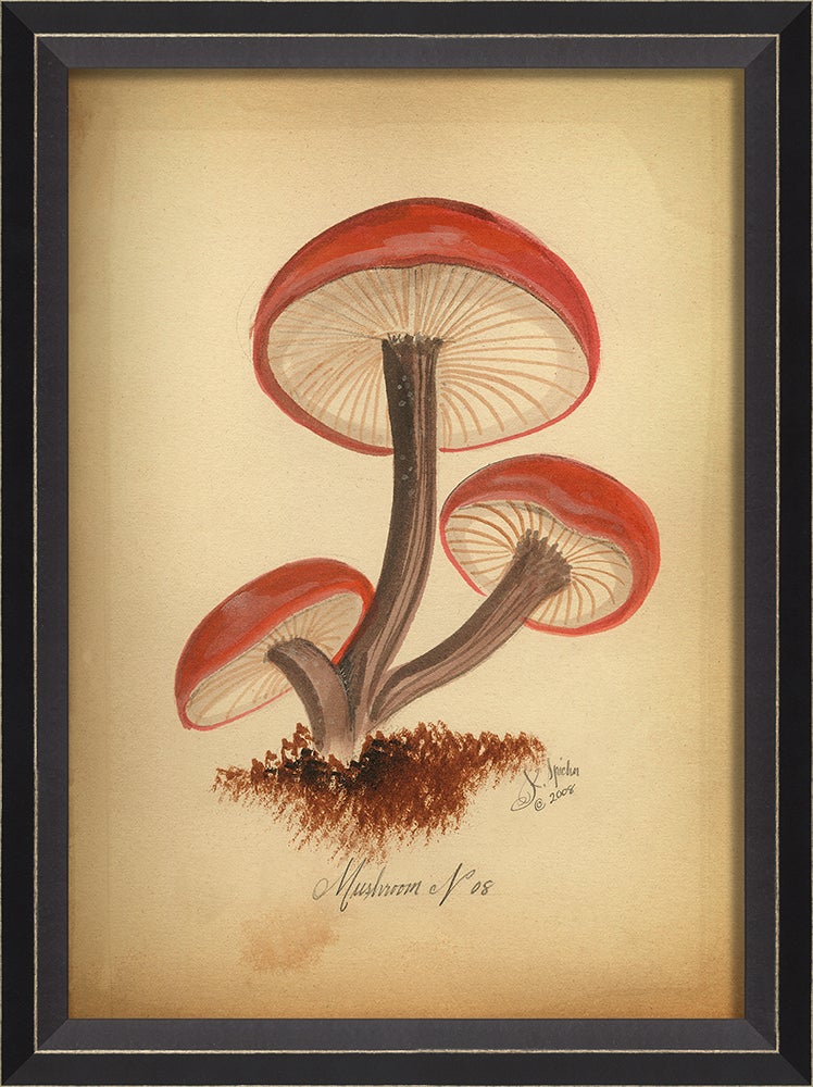 Spicher & Company BC Mushroom 8 med 86445