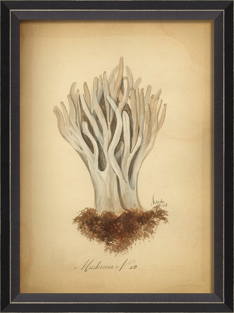 Spicher & Company BC Mushroom 9 med 86446