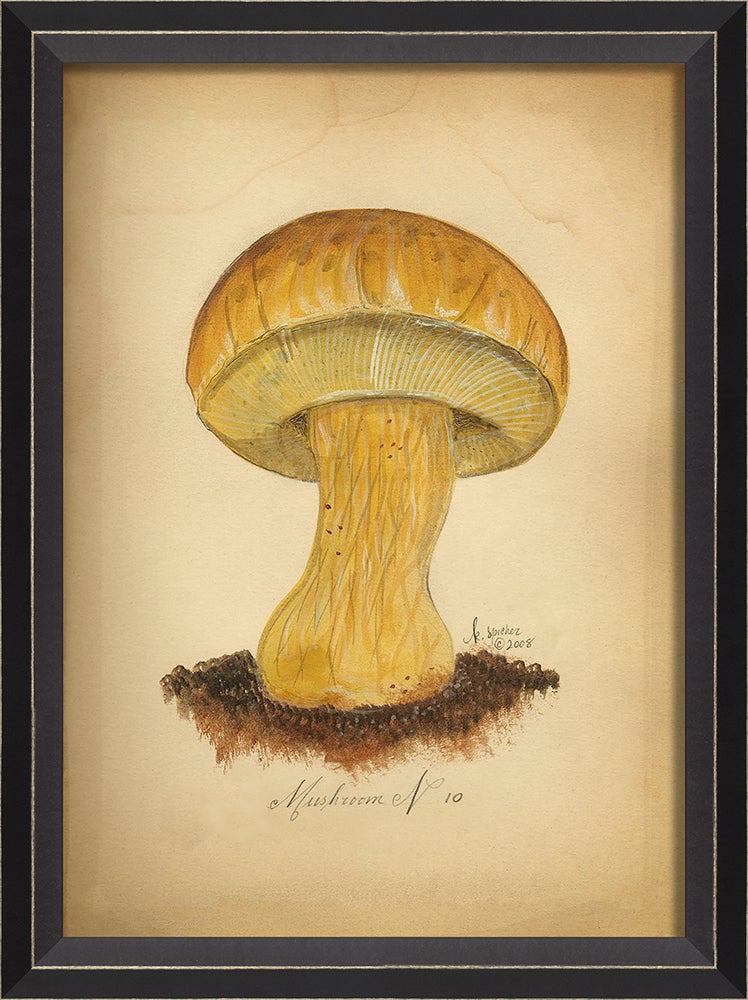 Spicher & Company BC Mushroom 10 med 86447