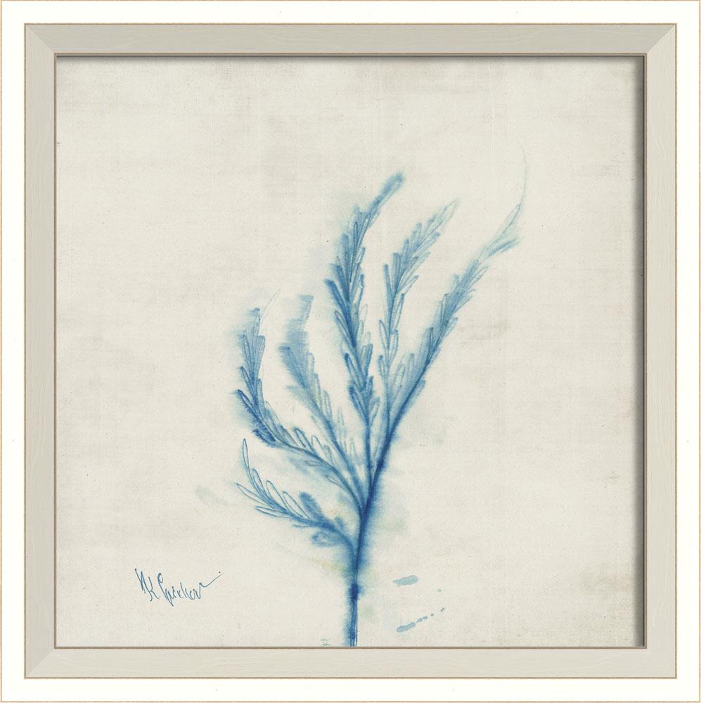 Spicher & Company WC Cyan small 86525