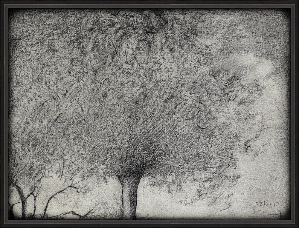 Spicher & Company BC SJHunt Tree No3 lg 88024