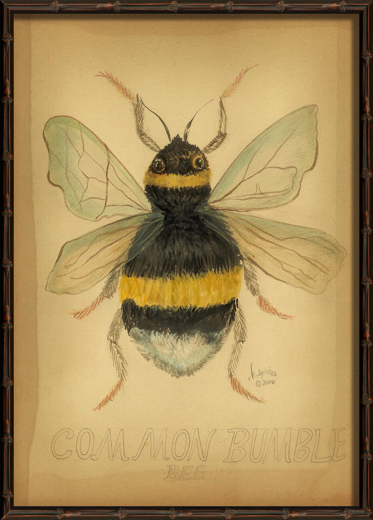 Spicher & Company HU Common Bumble Bee 98102