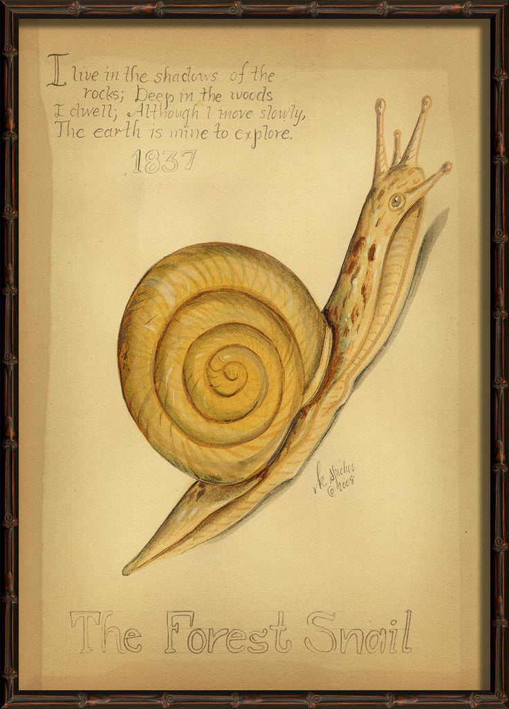 Spicher & Company HU The Forest Snail 98103