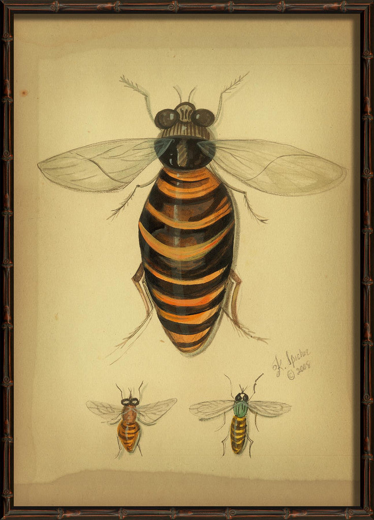 Spicher & Company HU Pollination 98106