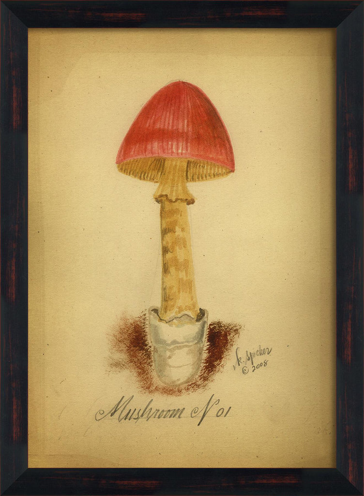 Spicher & Company BC Mushroom 1 lg 98110