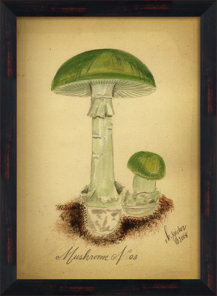 Spicher & Company BC Mushroom 3 lg 98112