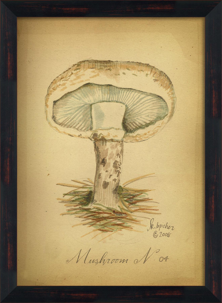 Spicher & Company BC Mushroom 4 lg 98113