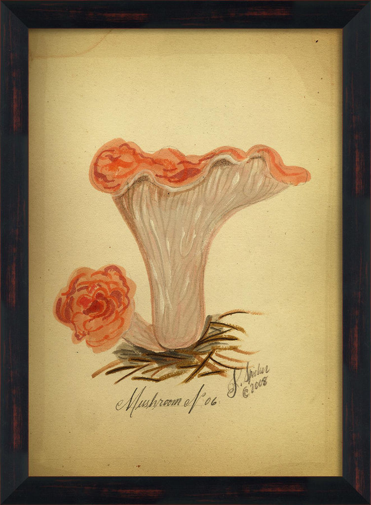 Spicher & Company BC Mushroom 6 lg 98115