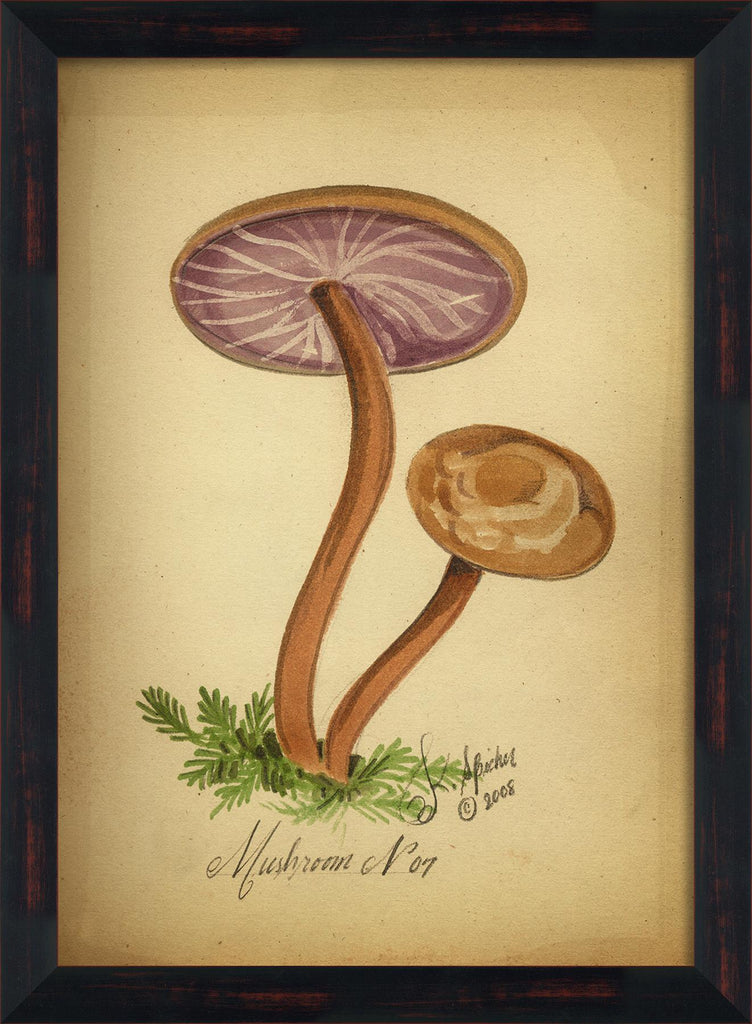 Spicher & Company BC Mushroom 7 lg 98116