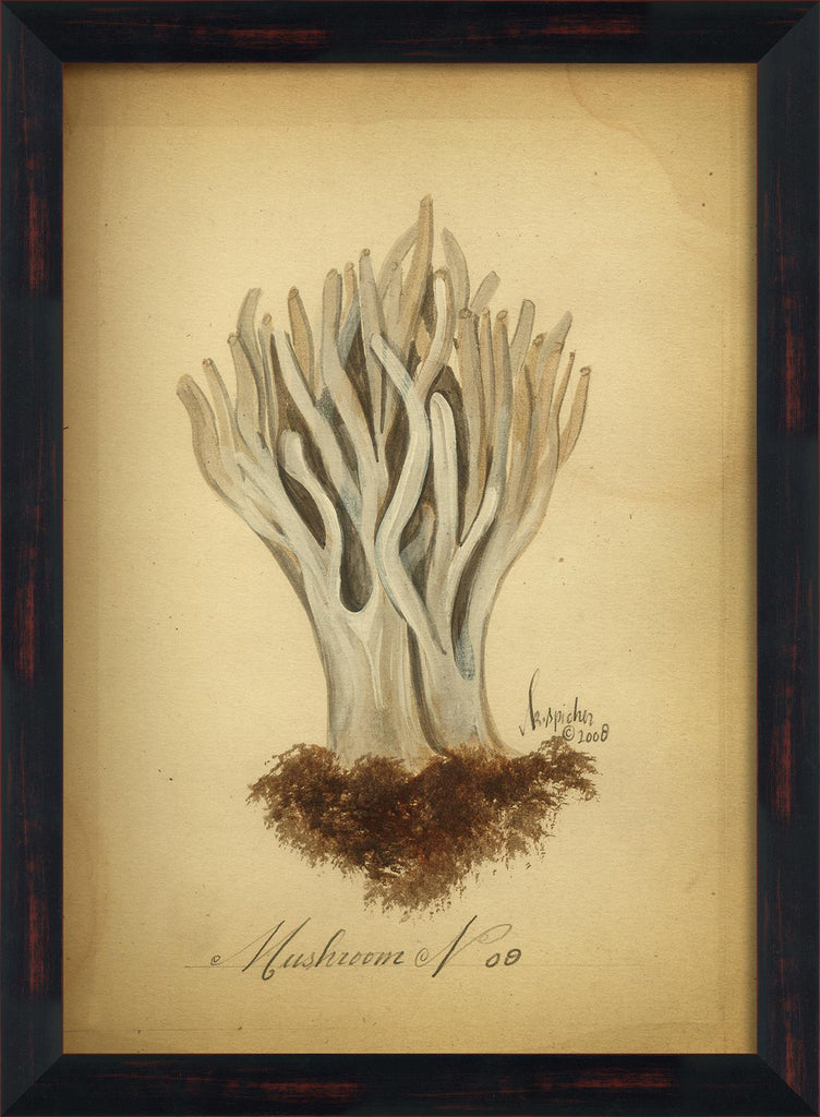 Spicher & Company BC Mushroom 9 lg 98118